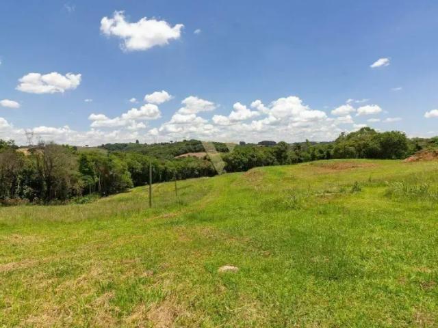 Fazenda venda em Ferraria, Campo Largo