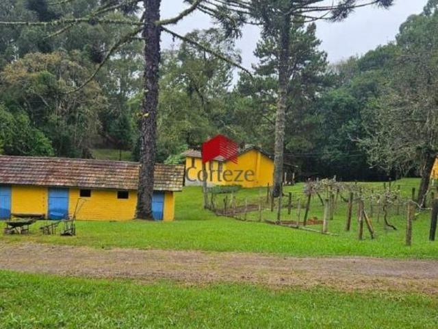 Sítio e chácara venda em Região Geográfica Imediata de Curitiba, Região Metropolitana de Curitiba