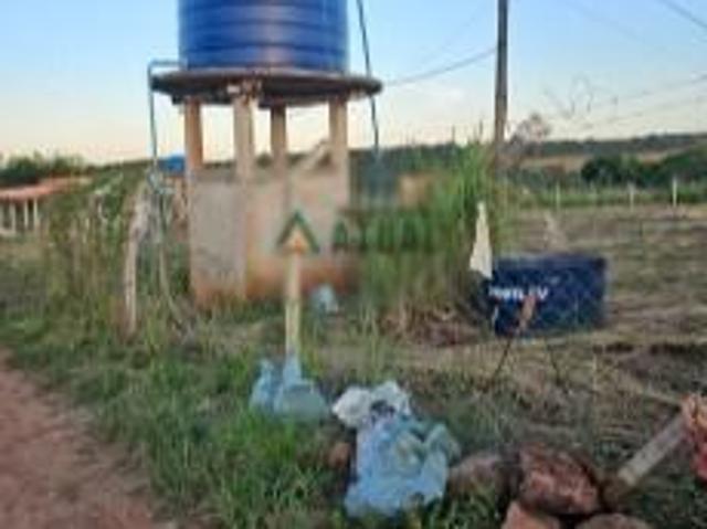 Sítio e chácara venda em Região Geográfica Imediata de Londrina, Londrina