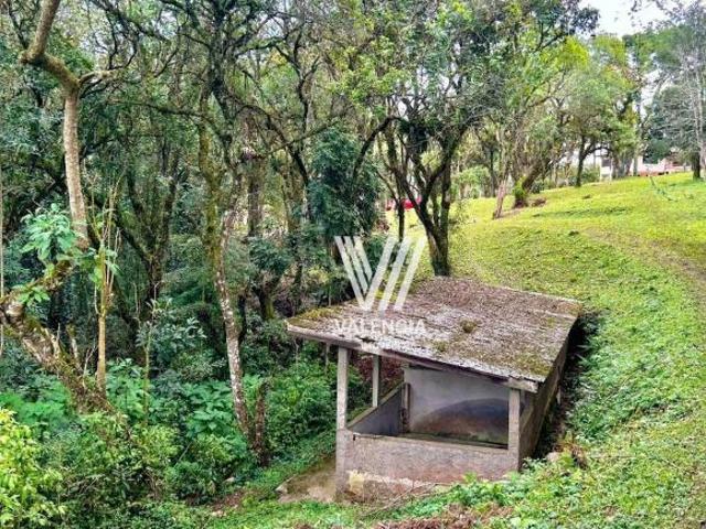 Sítio e chácara venda em Região Geográfica Imediata de Curitiba, Região Metropolitana de Curitiba