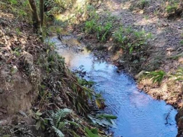 Sítio e chácara venda em Piedade dos Gerais, Região Geográfica Intermediária de Divinópolis