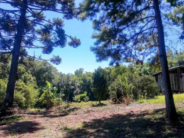 Sítio e chácara venda em Região Geográfica Imediata de Novo Hamburgo - São Leopoldo, Santa Maria do Herval