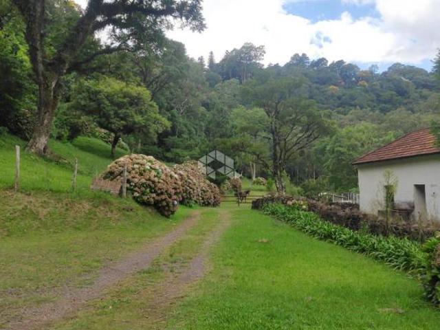 Sítio e chácara venda em Região Geográfica Imediata de Novo Hamburgo - São Leopoldo, Morro Reuter