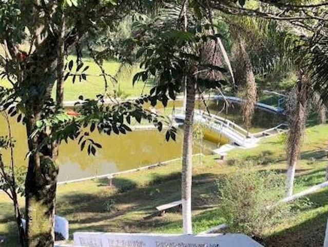 Sítio e chácara venda em Embu das Artes