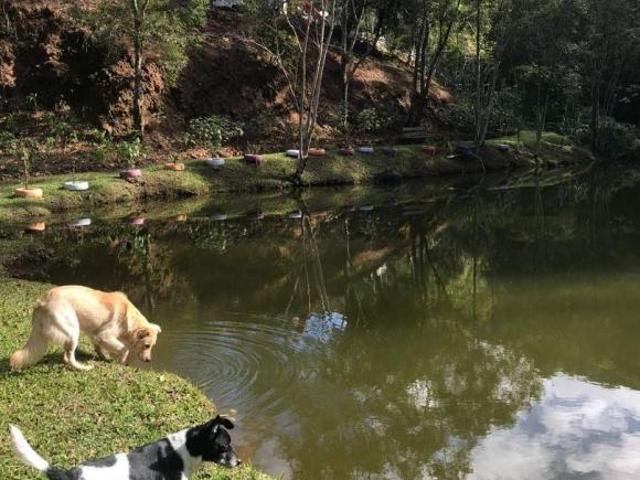 Sítio e chácara venda em Região Imediata de Bragança Paulista, Nazaré Paulista