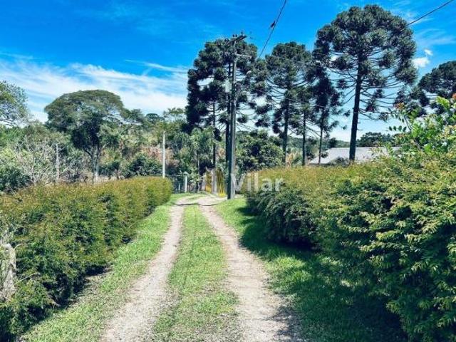 Sítio e chácara venda em Região Geográfica Imediata de Curitiba, Região Metropolitana de Curitiba