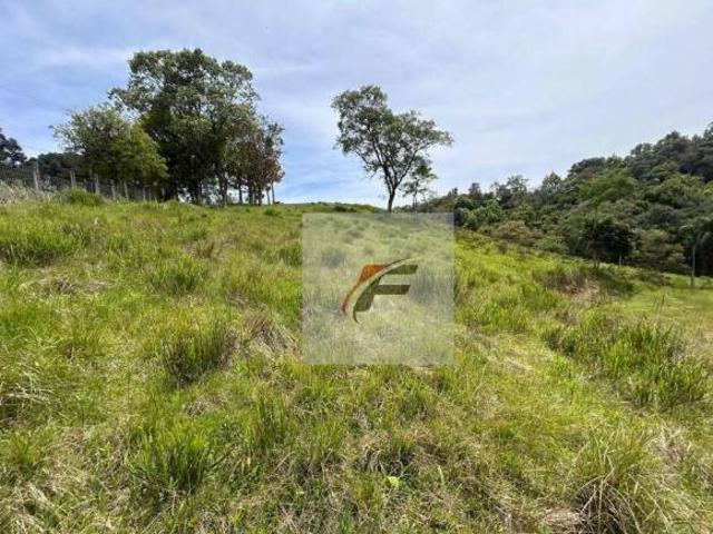 Sítio e chácara venda em Região Geográfica Imediata de Curitiba, Região Metropolitana de Curitiba