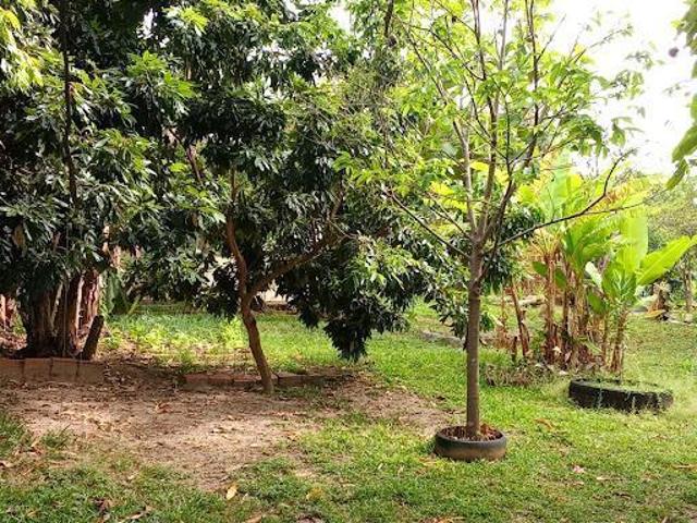 Sítio e chácara venda em Varjão de Minas, Região Geográfica Intermediária de Patos de Minas