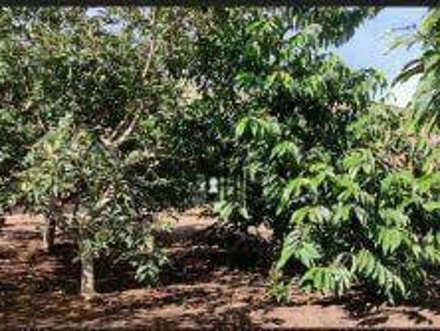 Sítio e chácara venda em Sagrado Coração de Jesus, Juiz de Fora