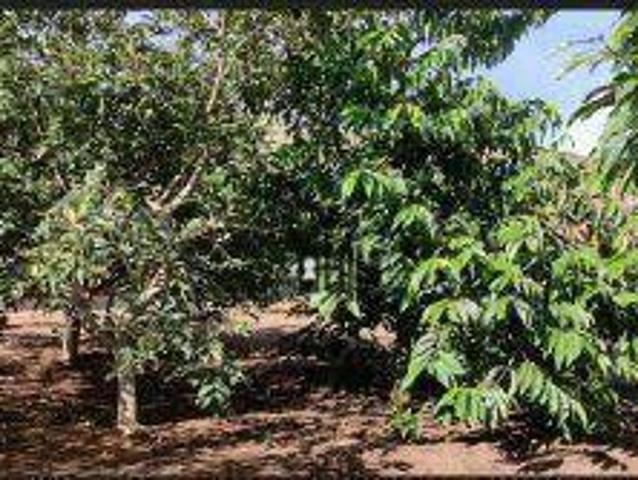 Sítio e chácara venda em Região Geográfica Imediata de Juiz de Fora, Juiz de Fora