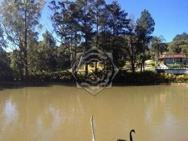 Sítio e chácara venda em São Francisco do Pinhal, Cabreuva