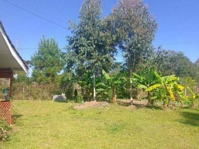 Sítio e chácara venda em Região Geográfica Imediata de Curitiba, Região Metropolitana de Curitiba