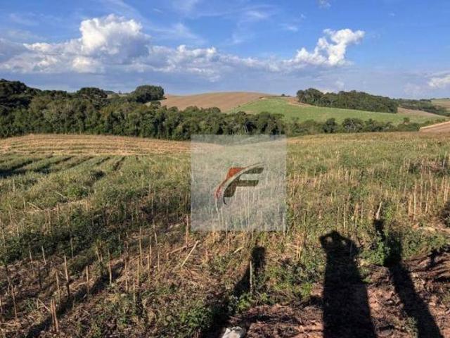 Sítio e chácara venda em Região Geográfica Imediata de Curitiba, Região Metropolitana de Curitiba