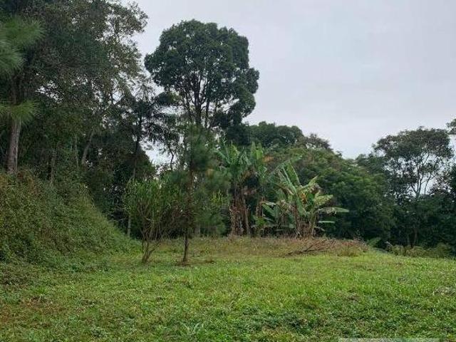 Sítio e chácara venda em Riacho Grande, São Bernardo do Campo