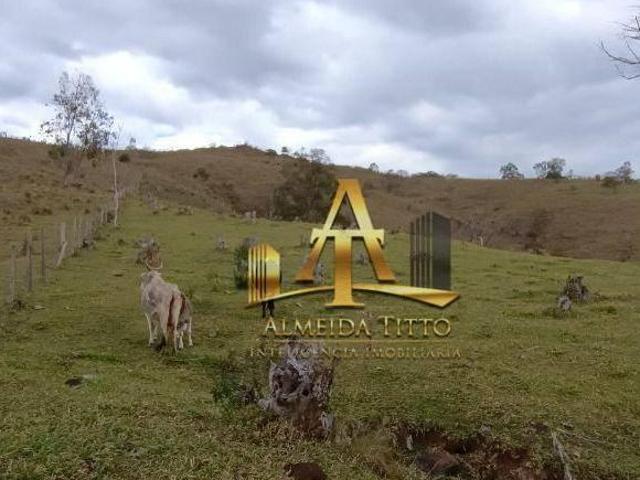 Sítio e chácara venda em Região Imediata de Amparo, Amparo
