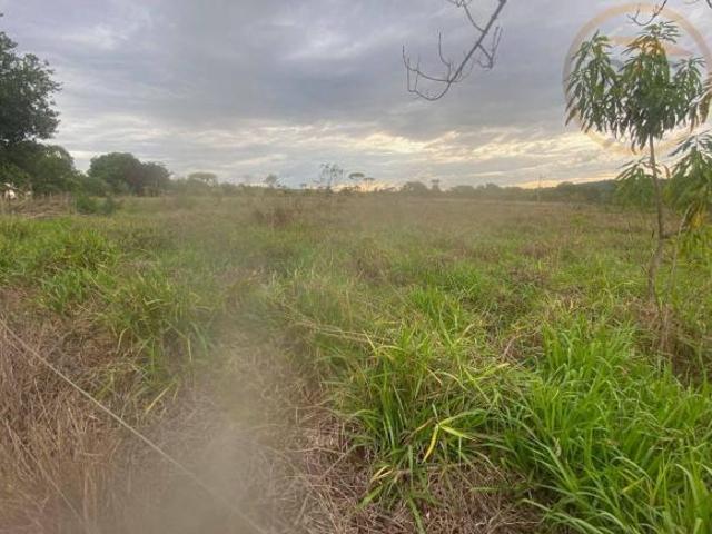 Sítio e chácara venda em Região Geográfica Imediata do Distrito Federal, Região Integrada de Desenvolvimento do Distrito Federal e Entorno