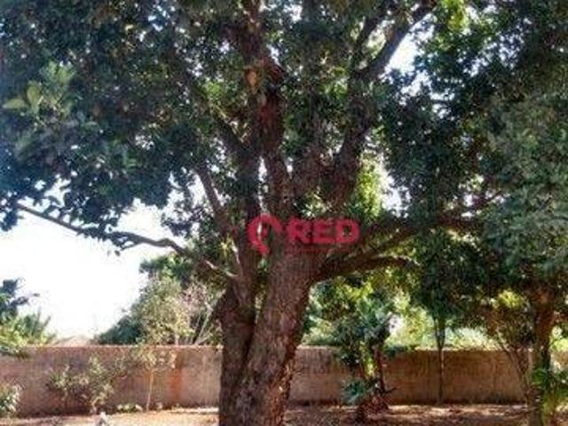 Sítio e chácara venda em Bacaetava, Iperó