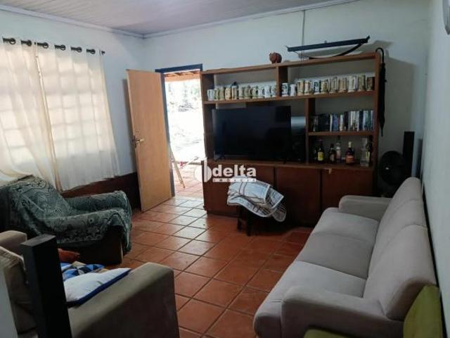 Sítio e chácara venda em Oliveira, Uberlândia