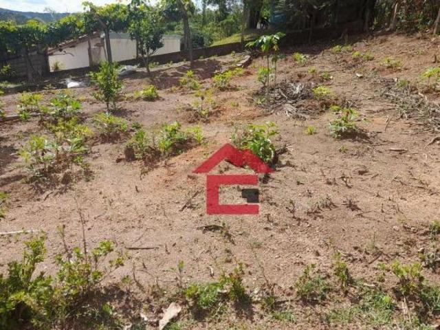 Sítio e chácara venda em São Roque, São Paulo