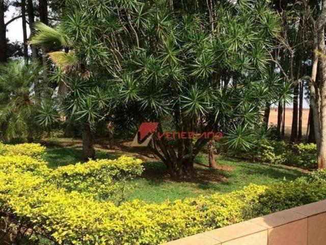 Sítio e chácara venda em Região Imediata de Avaré, Avaré