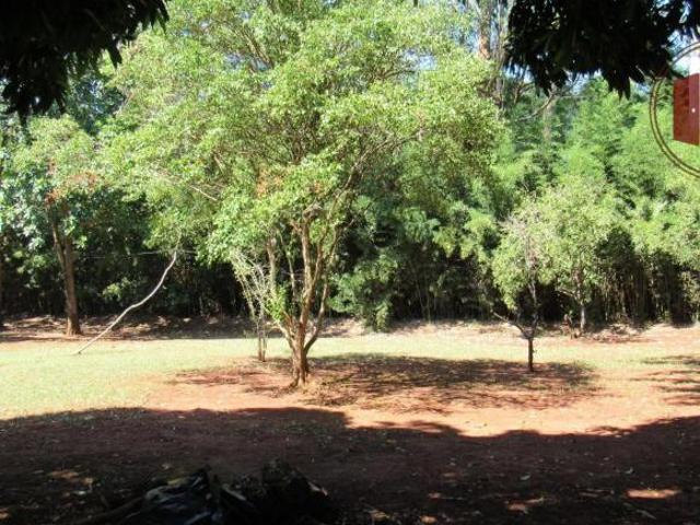 Sítio e chácara venda em Itaí