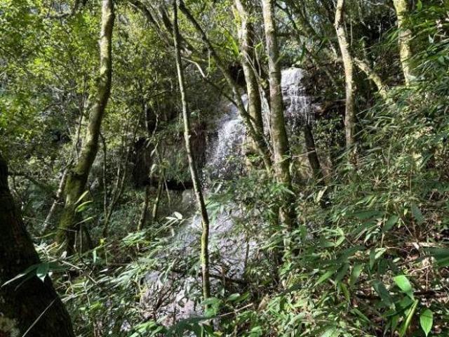 Sítio e chácara venda em Região Geográfica Imediata de Novo Hamburgo - São Leopoldo, Santa Maria do Herval