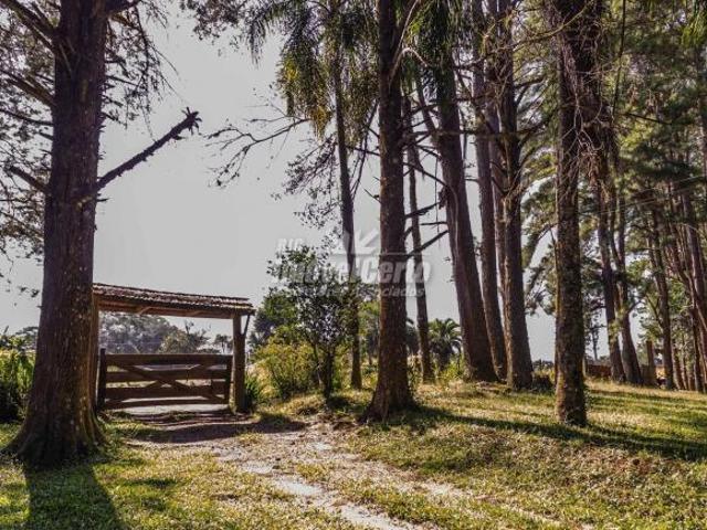 Sítio e chácara venda em Região Geográfica Imediata de Curitiba, Região Metropolitana de Curitiba