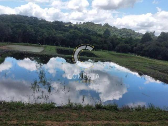 Sítio e chácara venda em Região Geográfica Imediata de Curitiba, Pien