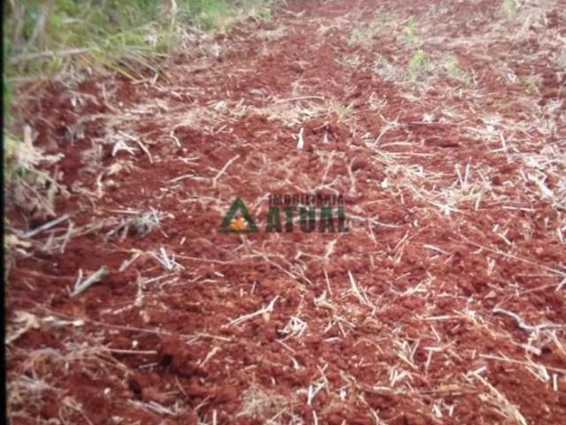 Sítio e chácara venda em Lerroville, Londrina