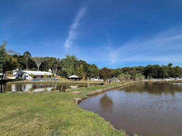 Sítio e chácara venda em Canguera, São Roque