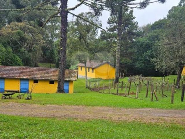 Sítio e chácara venda em Região Geográfica Imediata de Curitiba, Região Metropolitana de Curitiba