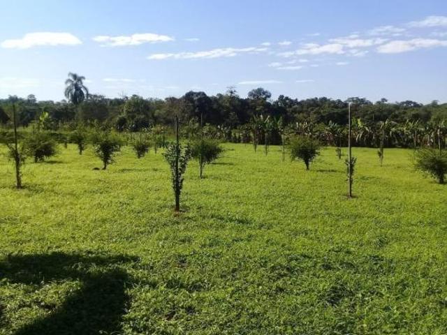 Sítio e chácara venda em Região Geográfica Imediata de Paranaguá, Morretes