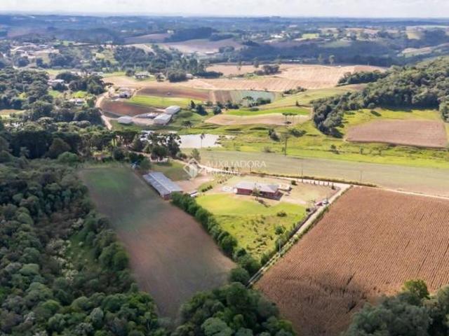 Sítio e chácara venda em Região Geográfica Imediata de Curitiba, Região Metropolitana de Curitiba