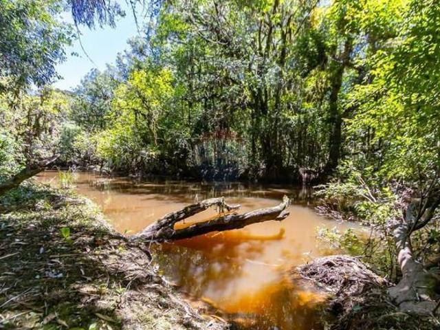 Sítio e chácara venda em Região Geográfica Imediata de Curitiba, Região Metropolitana de Curitiba