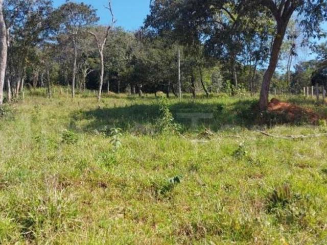 Sítio e chácara venda em Piracema