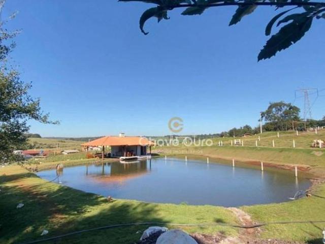 Sitio venda em Toledo