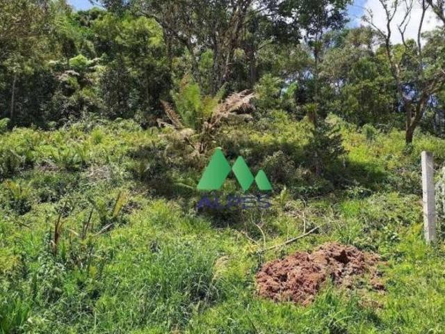 Sítio e chácara venda em Tijucas do Sul, Região Geográfica Intermediária de Curitiba