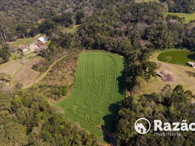 Sítio e chácara venda em Região Geográfica Imediata de Curitiba, Região Metropolitana de Curitiba