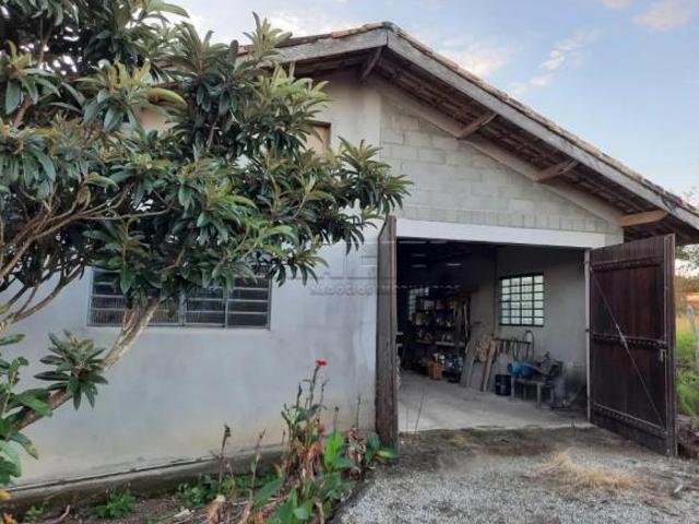Sítio e chácara venda em Região Imediata de Barretos, Monte Azul Paulista