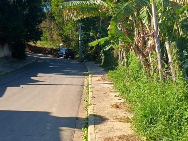 Sítio e chácara venda em Francisco Morato