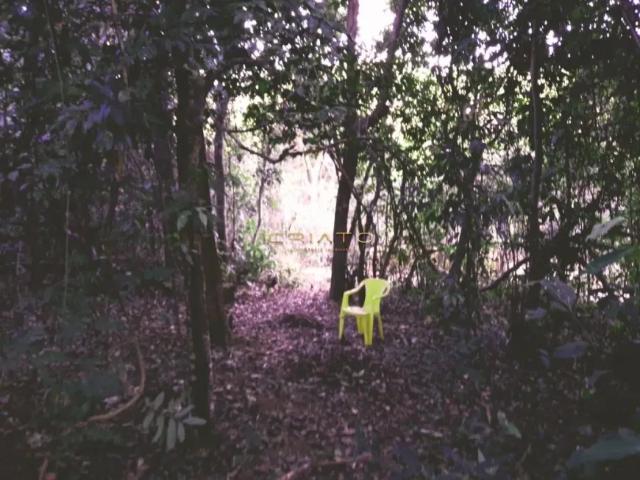 Fazenda venda em Região Geográfica Imediata de Anápolis, Região Integrada de Desenvolvimento do Distrito Federal e Entorno