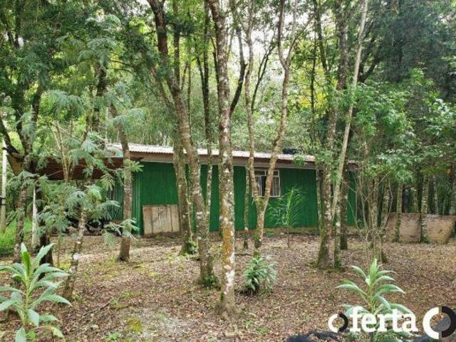 Sítio e chácara venda em Região Geográfica Imediata de Curitiba, Região Metropolitana de Curitiba