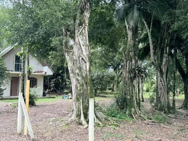 Sítio e chácara venda em Região Geográfica Imediata de Paranaguá, Morretes