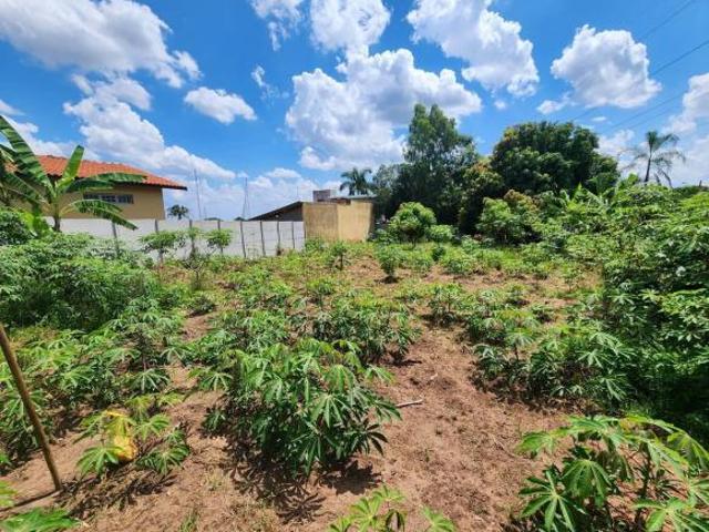 Sítio e chácara venda em Região Imediata de Campinas, Região Metropolitana de Campinas