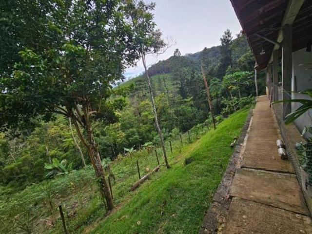 Sítio e chácara venda em Juquitiba, São Paulo