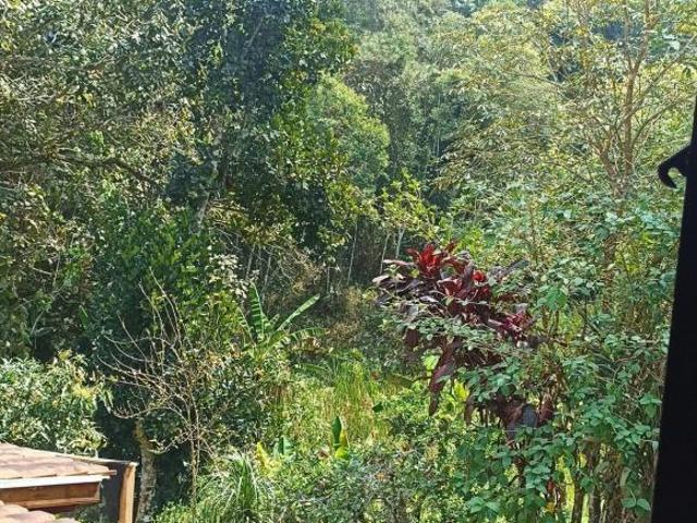 Sítio e chácara venda em Região Imediata de São Paulo, Região Metropolitana de São Paulo