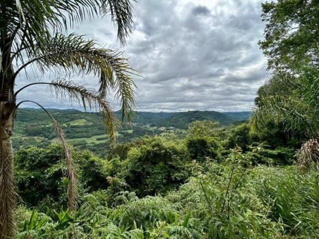 Sítio e chácara venda em Região Geográfica Imediata de Novo Hamburgo - São Leopoldo, Santa Maria do Herval
