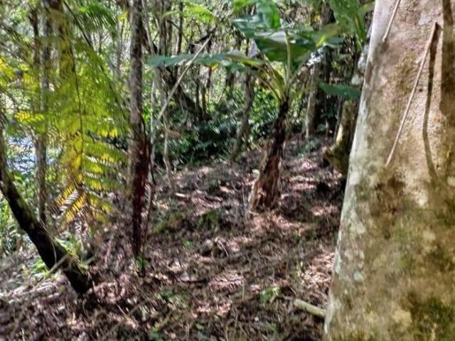 Sítio e chácara venda em Região Imediata de São Paulo, Região Metropolitana de São Paulo