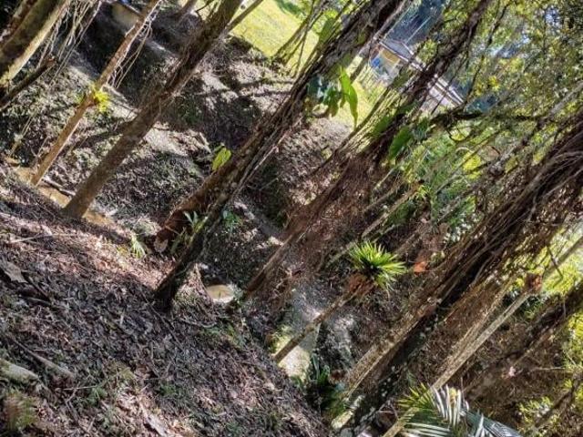 Sítio e chácara venda em Região Imediata de São Paulo, Região Metropolitana de São Paulo