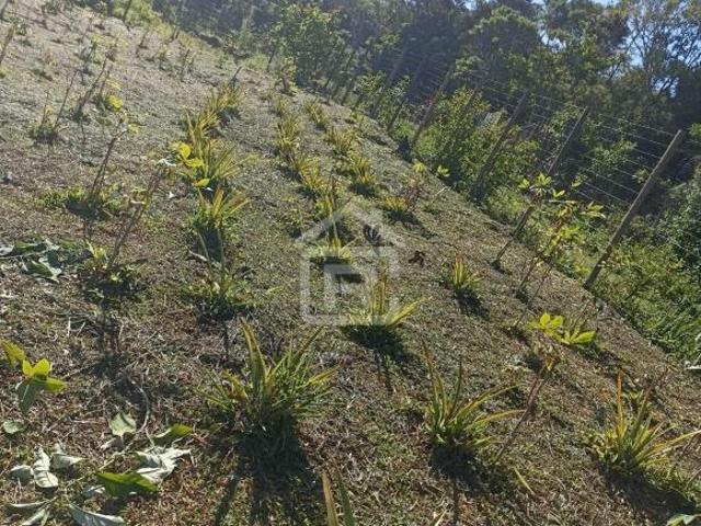 Sítio e chácara venda em Região Imediata de São Paulo, Região Metropolitana de São Paulo